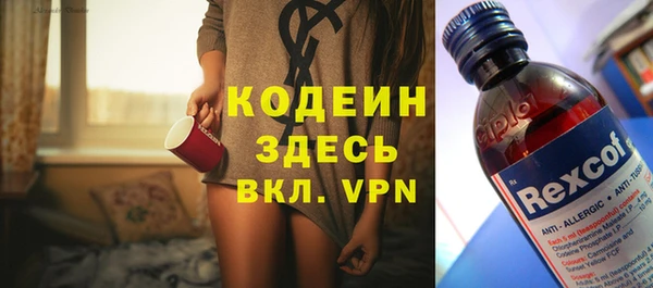 индика Балахна