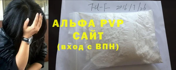 индика Балахна