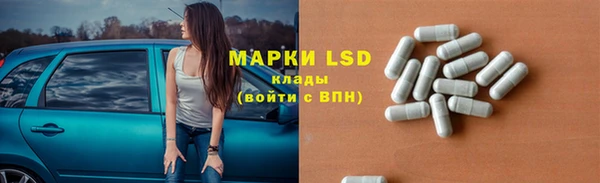индика Балахна