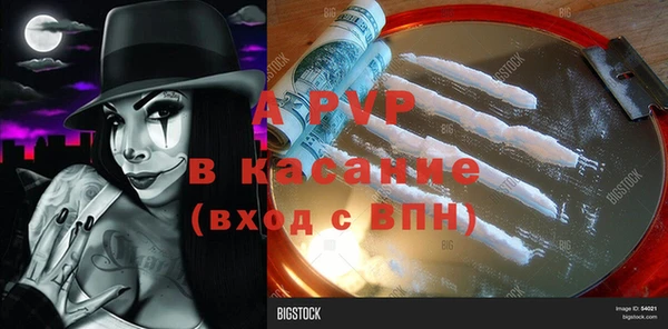 индика Балахна