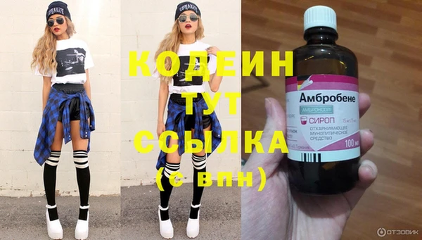 индика Балахна