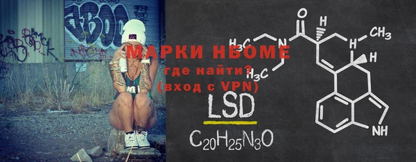 индика Балахна