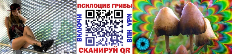 Псилоцибиновые грибы Psilocybe  Купино 